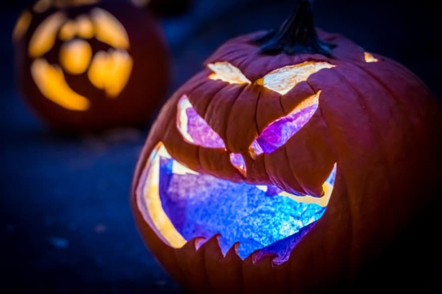 Fall activities: A 2020 guide to pumpkin patches and haunted houses in the Dallas-Fort Worth area