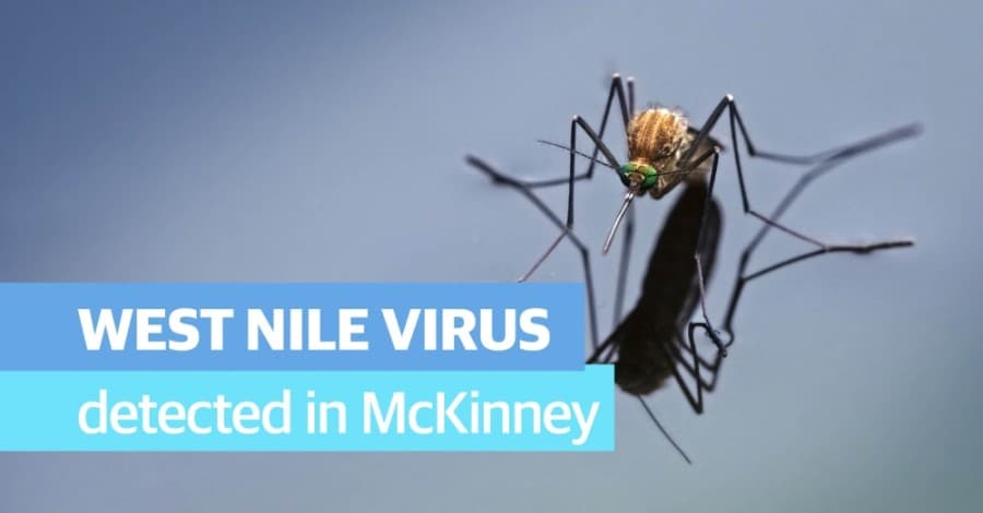 McKinney to spray for mosquitoes after pool tests positive for West Nile Virus