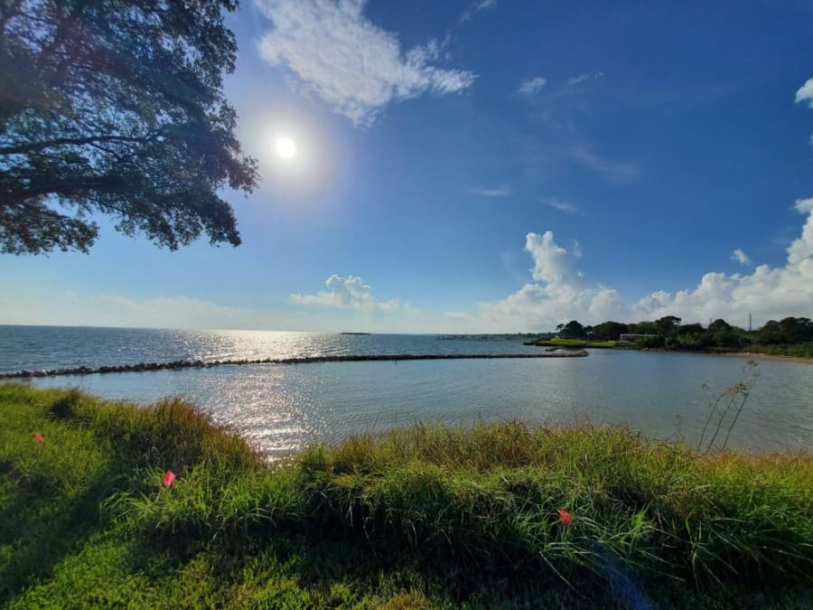 Galveston Bay report card highlights importance of local pollution reduction