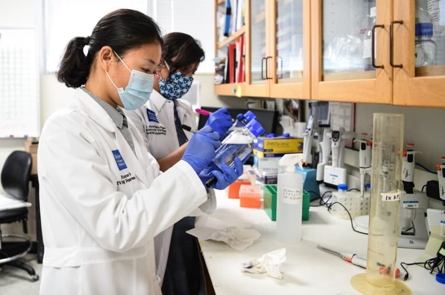 Baylor College of Medicine recruiting participants for COVID-19 prevalence study