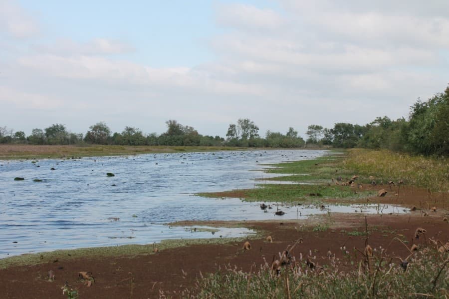 Katy Prairie Conservancy, partners awarded $7 million to conserve the coastal prairie ecosystem