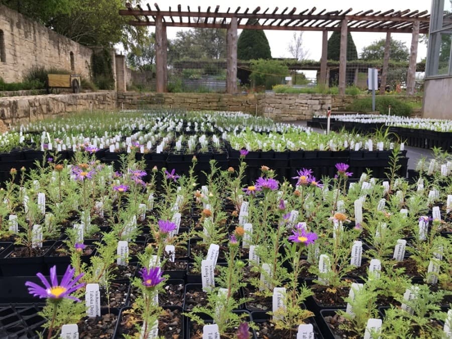 From fall festivals to 5Ks, here are 16 events to put on your calendar in Southwest Austin, Dripping Springs and around the region