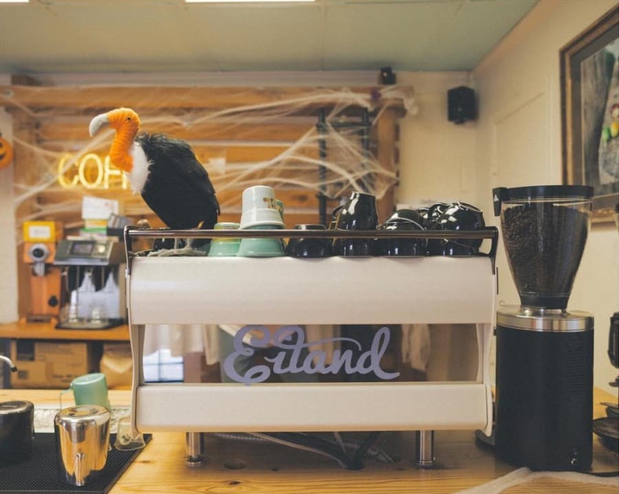 Eiland Coffee Roasters to open cafe in former Richardson location of Pearl Cup Coffee