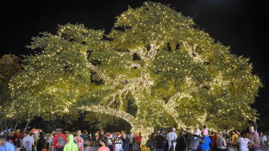 Check out things to do in Cedar Park, Leander and the surrounding area in November and early December