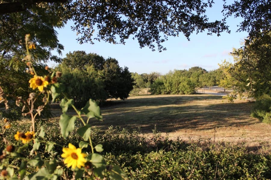 In heart of city, Lewisville eyes land in underserved community for new public park