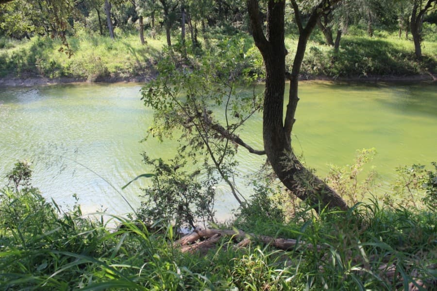 Dripping Springs appeals court reversal of wastewater discharge permit