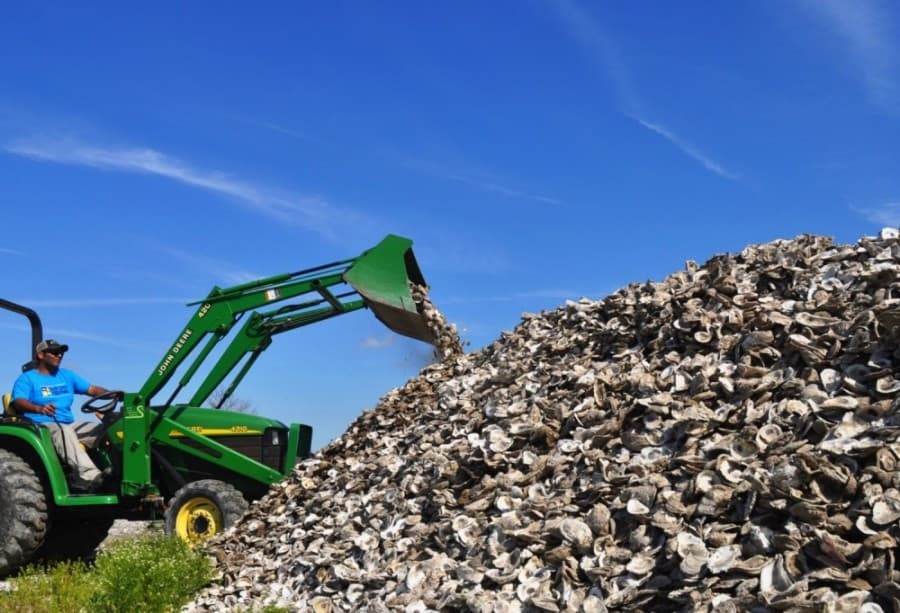 Bay Area oyster industry makes strides in sustainability