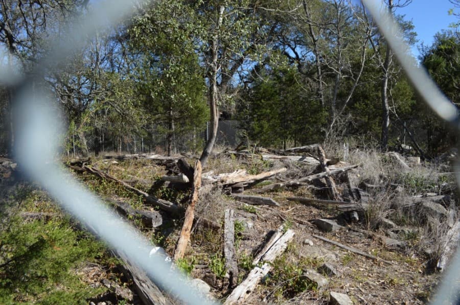 Laughlin said she hopes the cabin site, which is located near the cemetery, can be cleaned up to become a park with tours. (Taylor Girtman/Community Impact Newspaper)