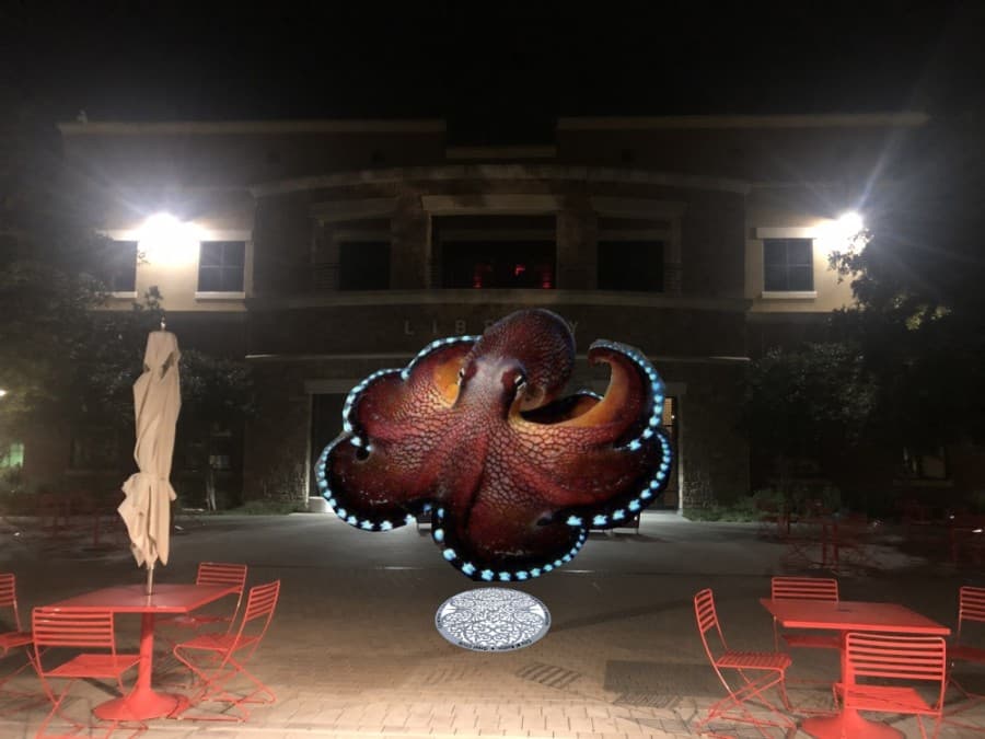 New interactive light festival generates buzz in Bee Cave