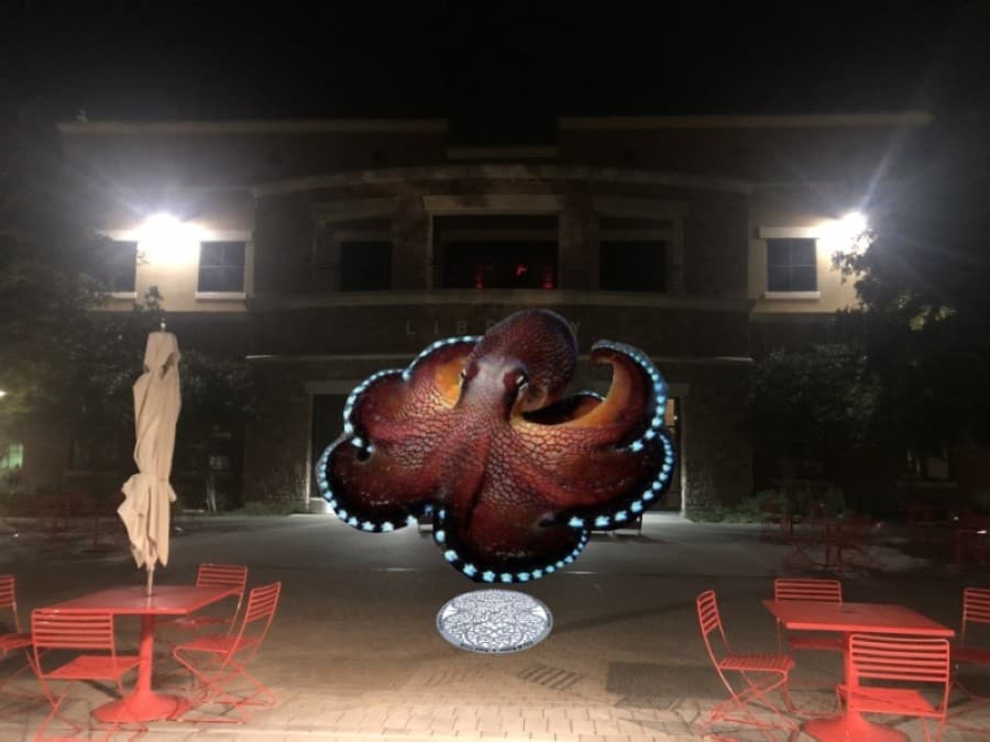 Inaugural interactive light festival coming soon to Bee Cave and more Central Texas updates