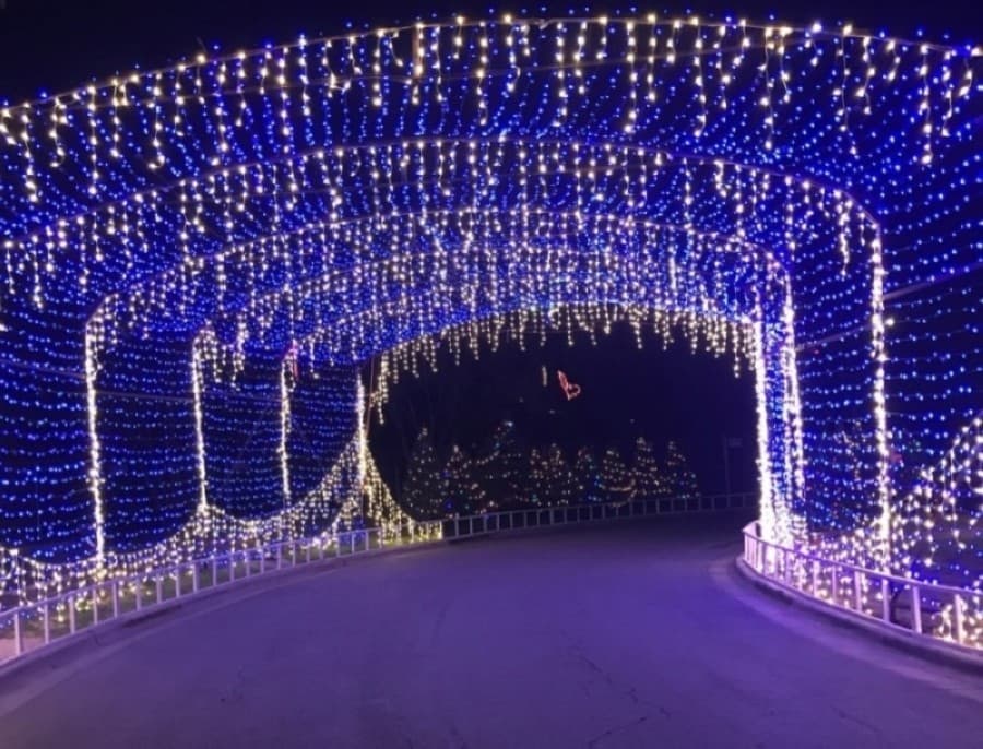 Holiday markets, strolls, tree lightings and Trail of Lights: 18 events in the Austin area in November and December