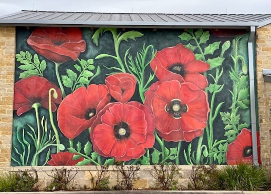 Wolf Ranch Town Center unveils new red poppy mural plus more Georgetown business news