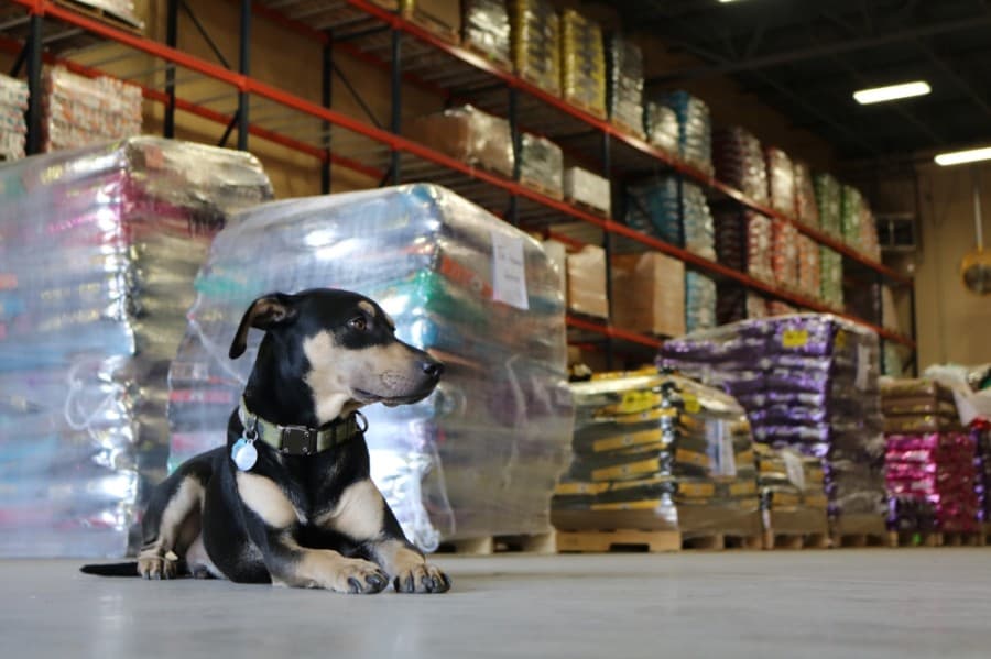 Annual pet food drive to benefit more than 30 Central Texas pet rescues throughout 2021