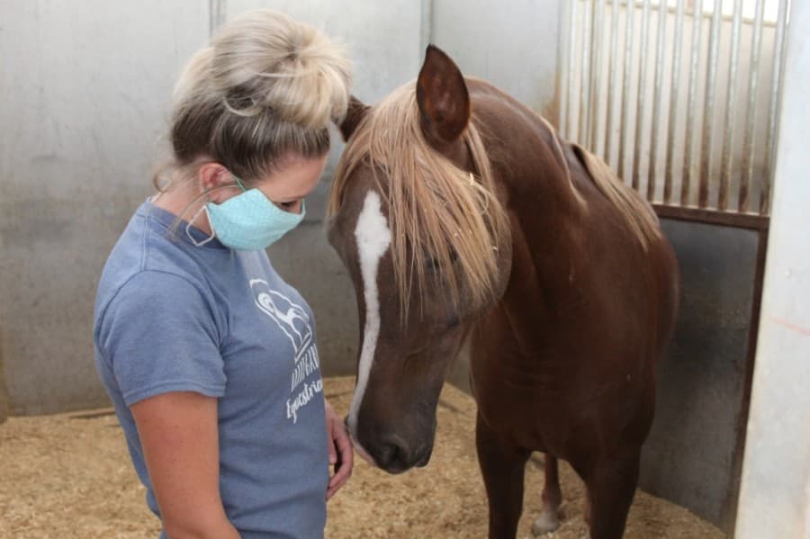 Jessica Kile, manager at Callegari Equestrian Center, pets one of the horses on site that is used for lessons for students who do not have their own horses. (Shawn Arrajj/Community Impact Newspaper)