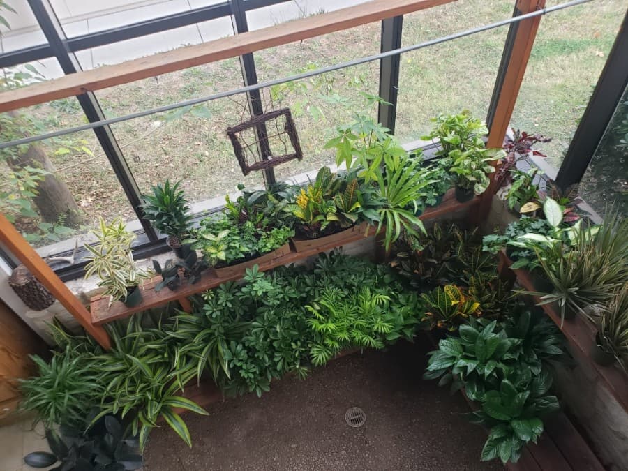 With a greenhouse window along the east wall, The Flower Box has been open since 1972. (Ali Linan/Community Impact Newspaper)