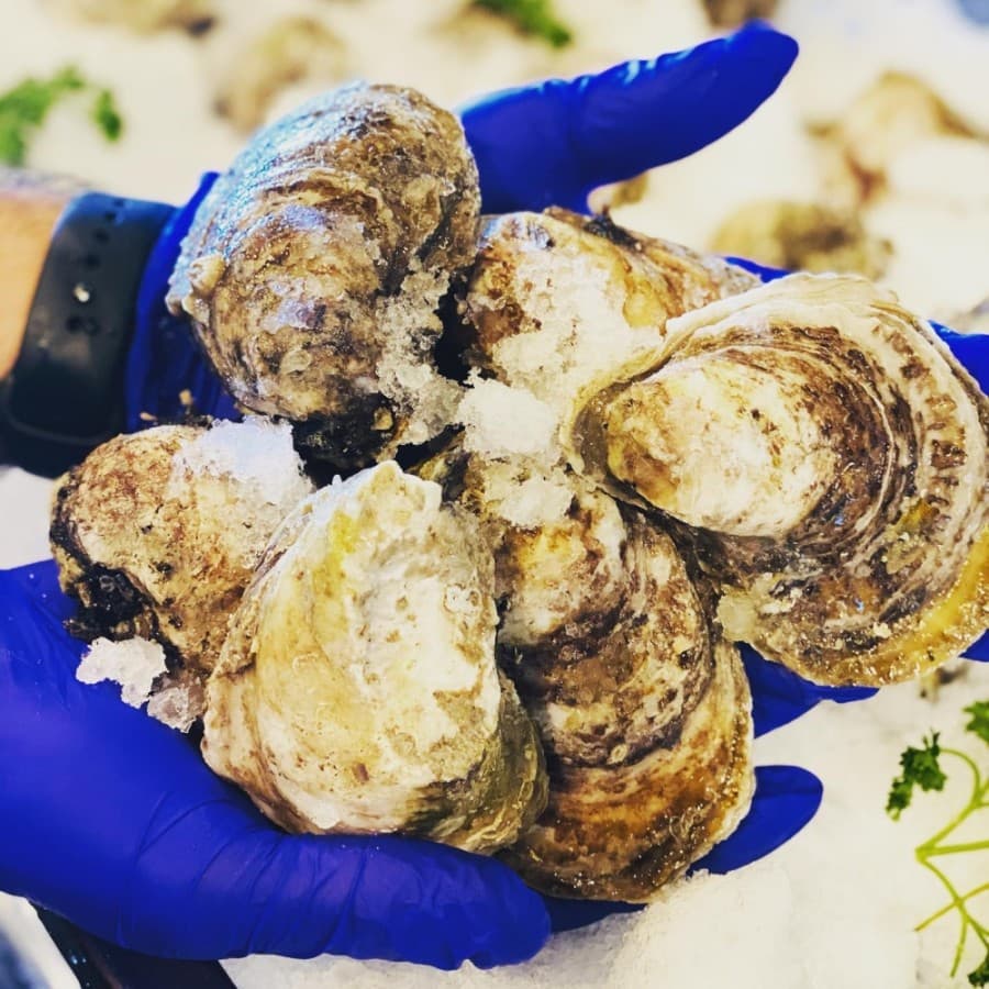 Anaya's Seafood Scratch Kitchen now open in Richardson