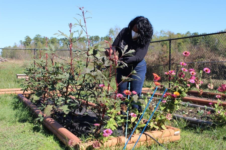 Among the volunteer opportunities at CBOW is the community garden, which includes herbs, fruits and flowers. (Andrew Christman/Community Impact Newspaper)