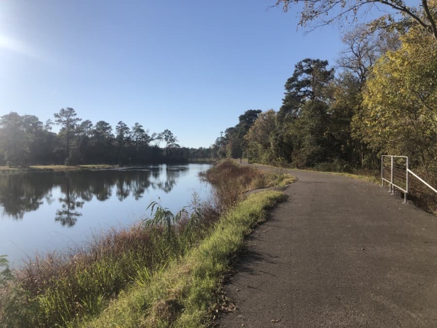 Community group releases draft report on improving water quality in Cypress Creek