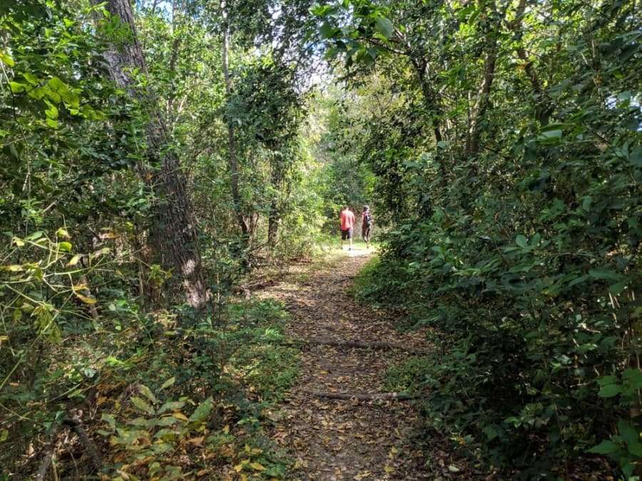 Hill Country hikes, bull riders and more: things to do in and around Northwest Austin in January and beyond