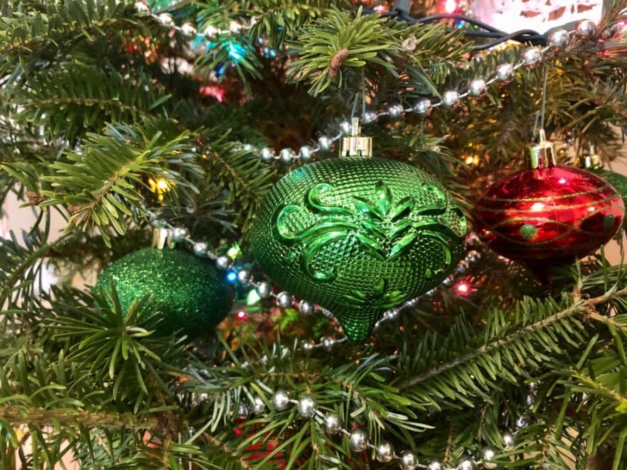 Recycle your Christmas trees, other holiday items in Georgetown this season
