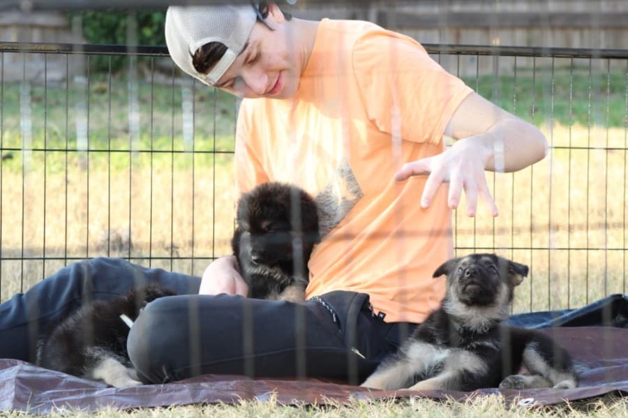 Volunteer James Hrachovy, plays with support service puppies from the Zeus & Luna 2 Pay It Forward Foundation. (Courtesy Carla Carroll)