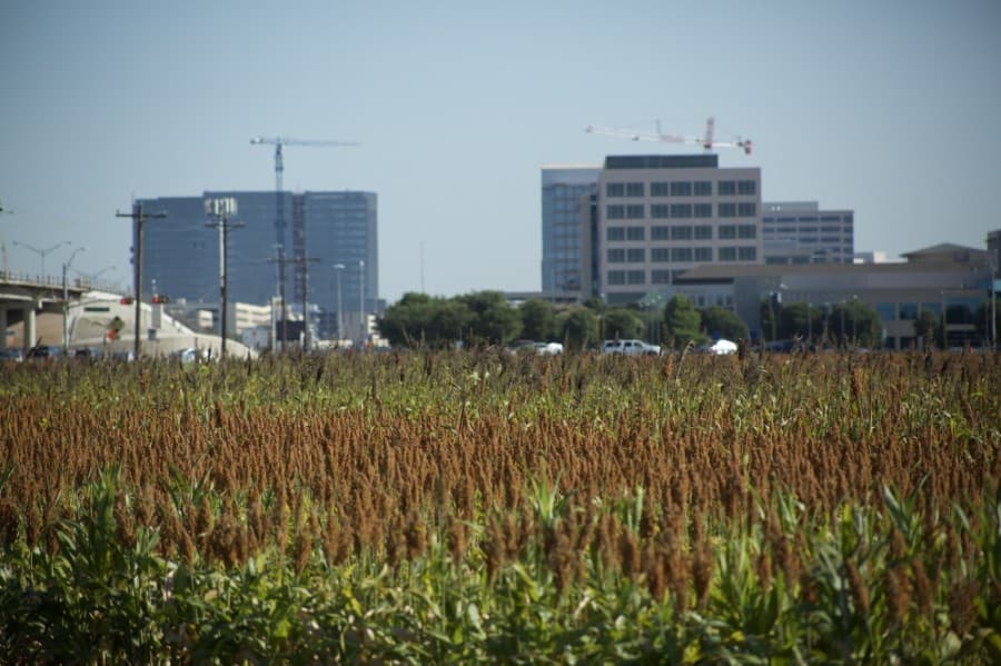 Portion of Haggard family land in Plano sells for future senior living community