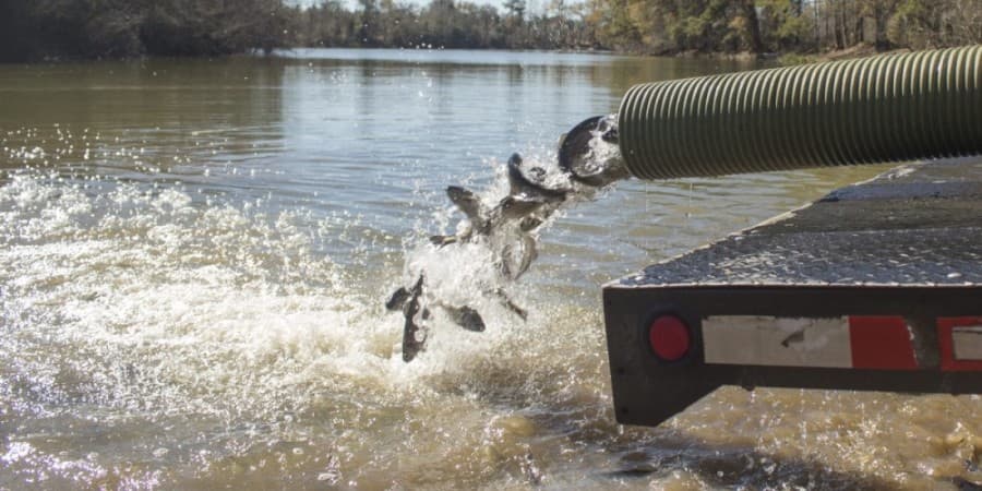 Texas Parks & Wildlife Department to deliver 7,500 rainbow trout to northeast Harris County parks