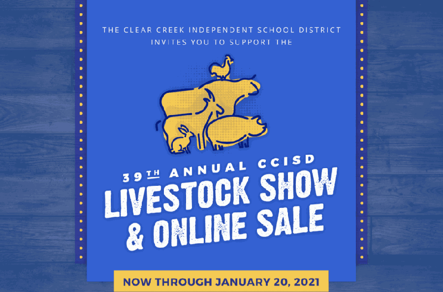Clear Creek ISD students take robotics competitions, livestock exhibitions virtual amid COVID-19