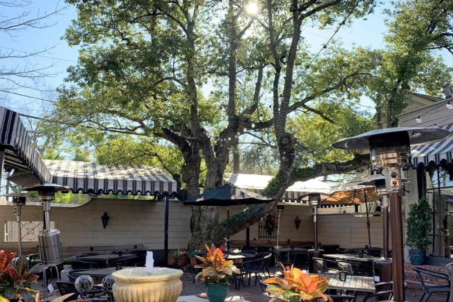Backstreet Cafe is losing its signature camphor tree