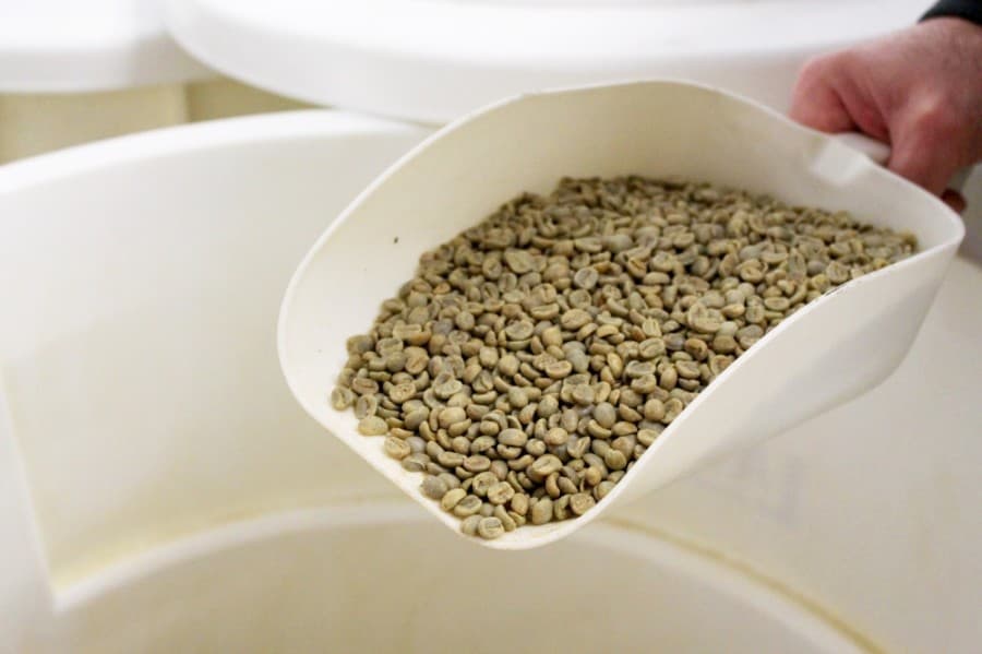 STEP 1: Coffee beans from around the world are delivered to Vertere Coffee Roasters in a green, unroasted state. (Andy Li/Community Impact Newspaper)