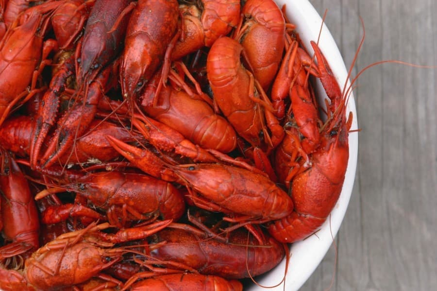 Seafood restaurant Crawfish Bistro coming soon in Missouri City