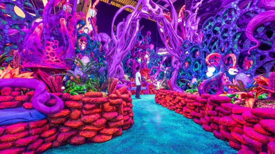 WORTH THE TRIP: Technology-fueled experimental art museum opens on Hwy. 6 in Houston
