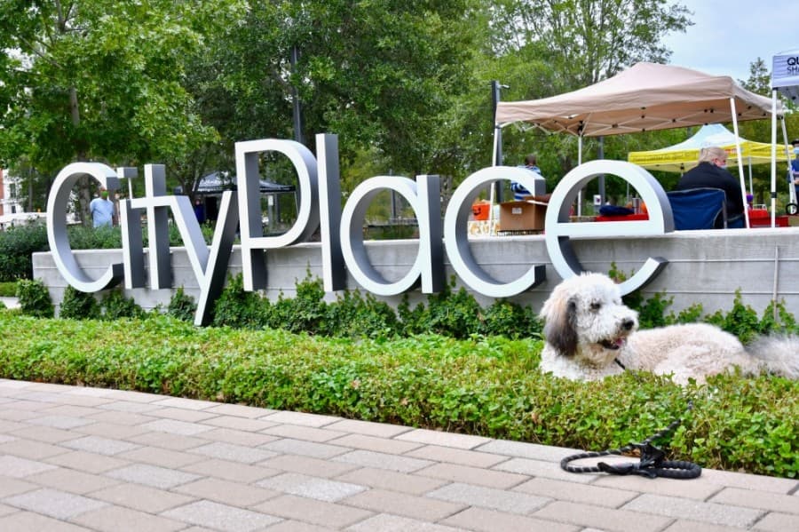 Springwoods Village's CityPlace Plaza will host a Valentine's-themed pet festival in advance of the holiday. (Courtesy Alex Montoya)