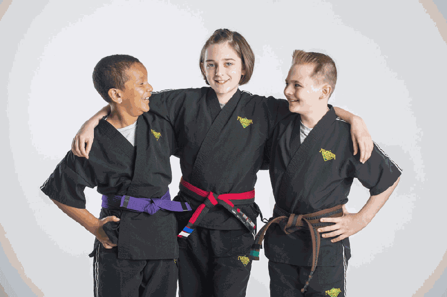 Premier Martial Arts to offer self-defense training for kids, adults in Missouri City