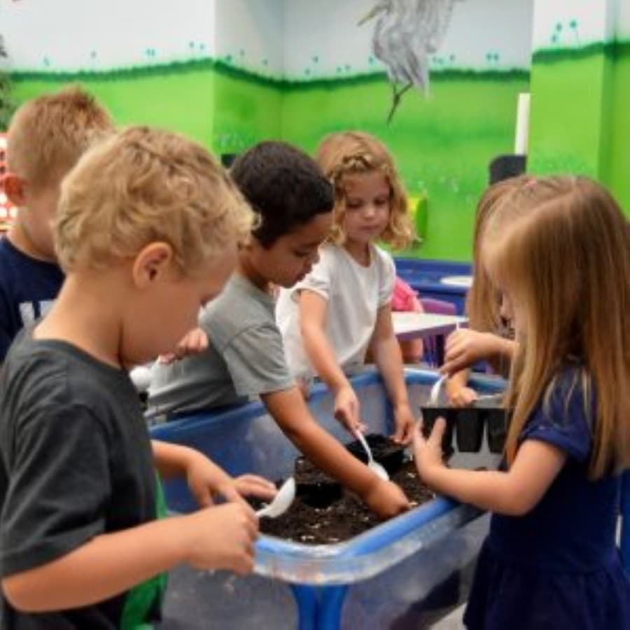 Creative World School to open second location in Georgetown