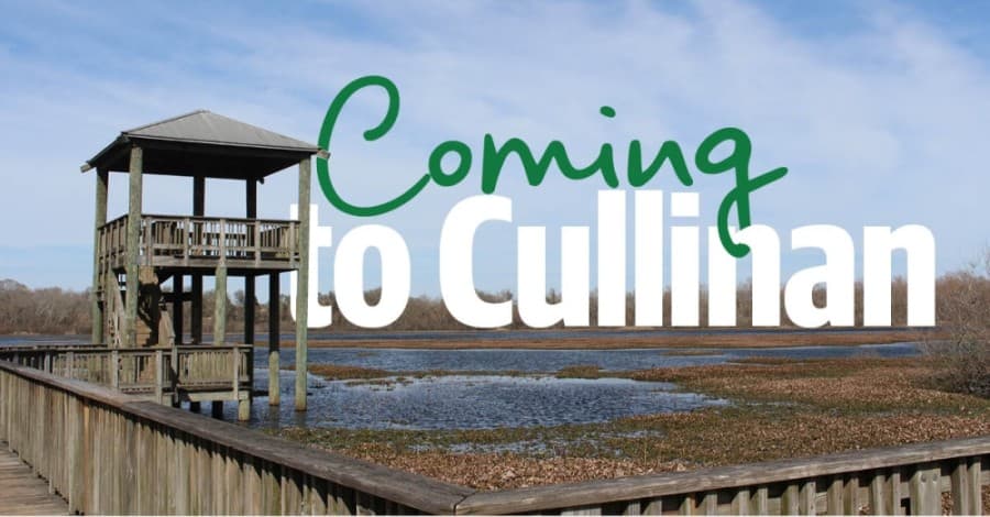 Cullinan Park undergoes improvements, plans for more as visitorship increases