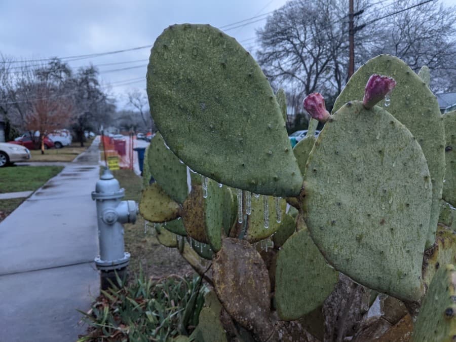 Power outages could last through the night as thousands without power in Northwest Austin