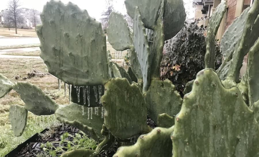Update: Dripping Springs ISD schools will be closed Feb. 12 due to winter weather