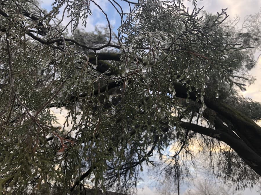 Inclement weather hit the Austin area Feb. 11 causing a string of power outages throughout the city. (Jack Flagler/Community Impact Newspaper) 