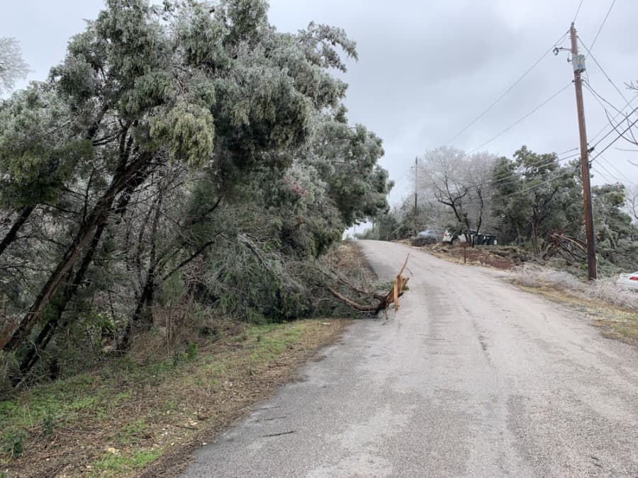 Freezing rain on Feb. 11 and 12 brought down tree limbs in the Apache Shores neighborhood. (Greg Perliski/Community Impact Newspaper)