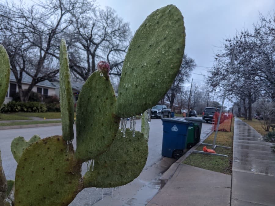 Pflugerville cancels Feb. 15 trash, recycling pickup due to weather