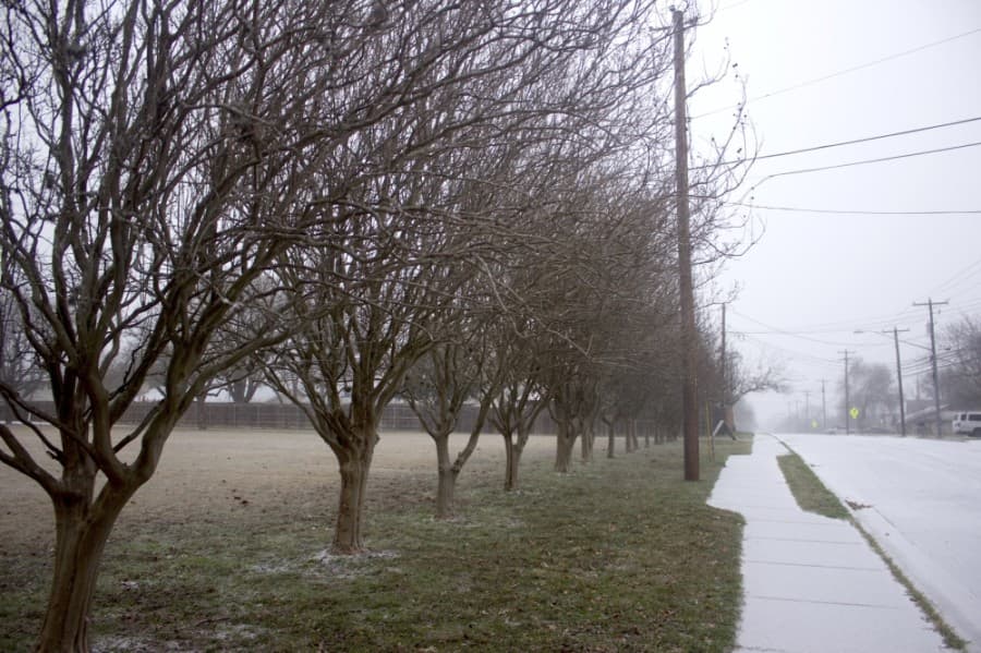 Austin weekly roundup: The coldest temperatures in 30 years and another election coming this May