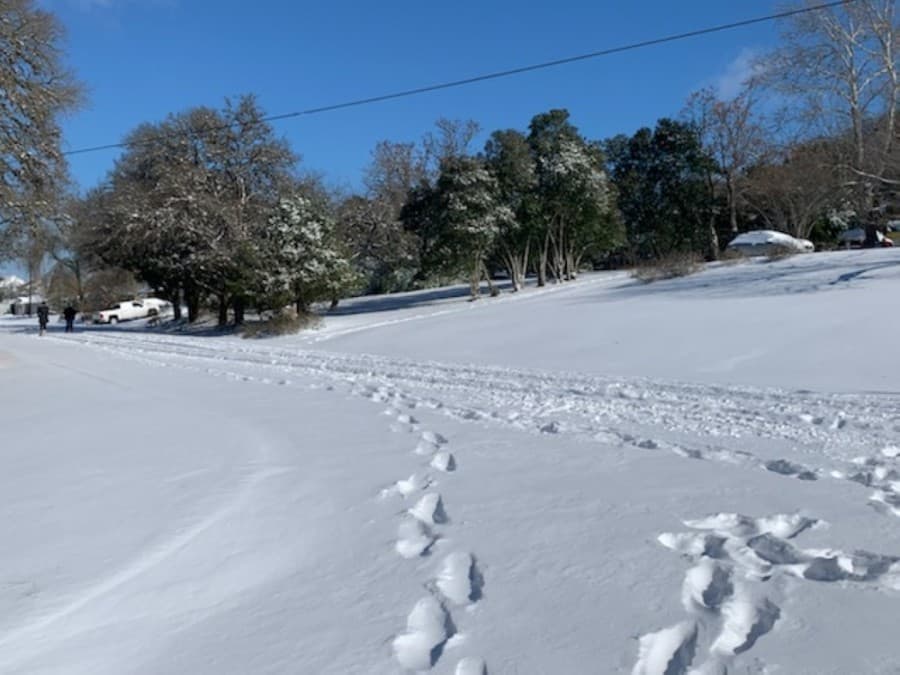 Buda issues disaster declaration and tips to protect pipes, pets, plants