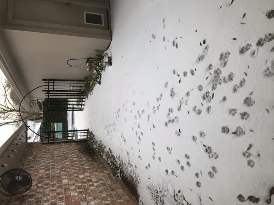 A winter storm brought snow to the Katy area Feb. 15. (Laura Aebi/Community Impact Newspaper)