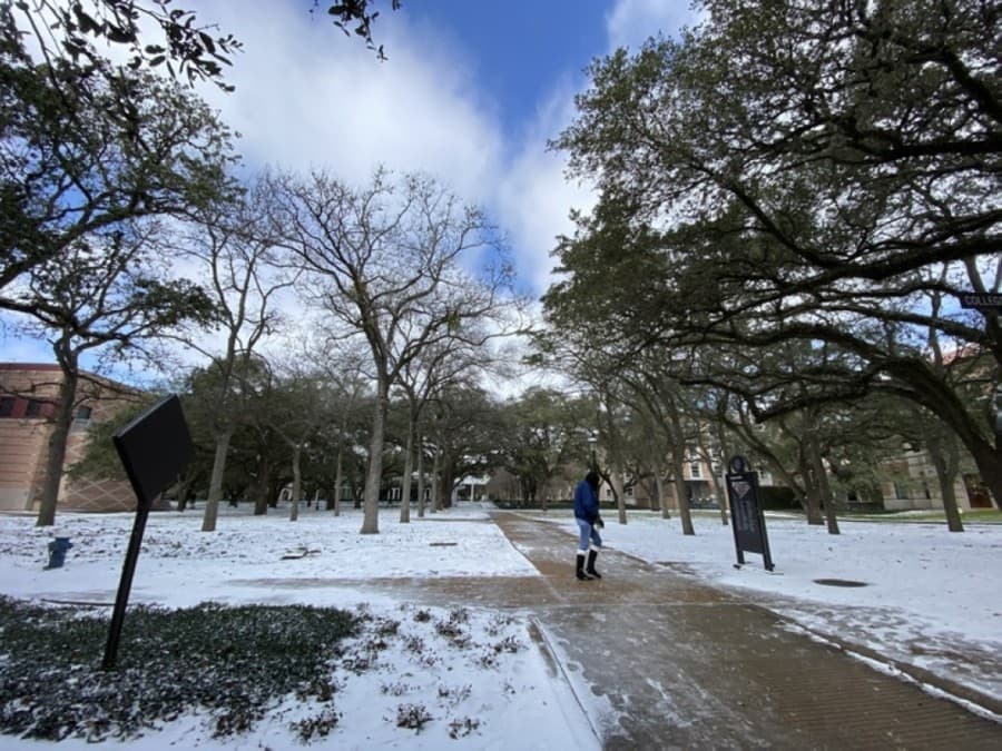 (Courtesy Rice University)