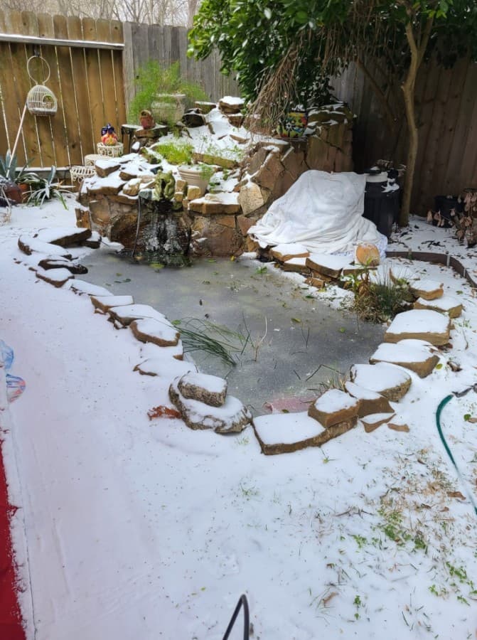 Backyard swimming pools and ponds began to freeze during the winter storm. (Courtesy Pamela Contreras) 