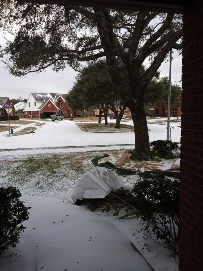 Snow accumulated in front yards throughout Sugar Land and Missouri City. (Courtesy Tequesta Wiggins)