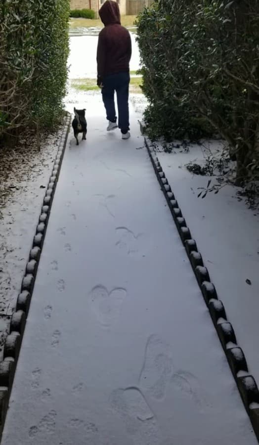 Missouri City and Sugar Land residents, along with their pets, explored the snow. (Courtesy Kelly Vela) 