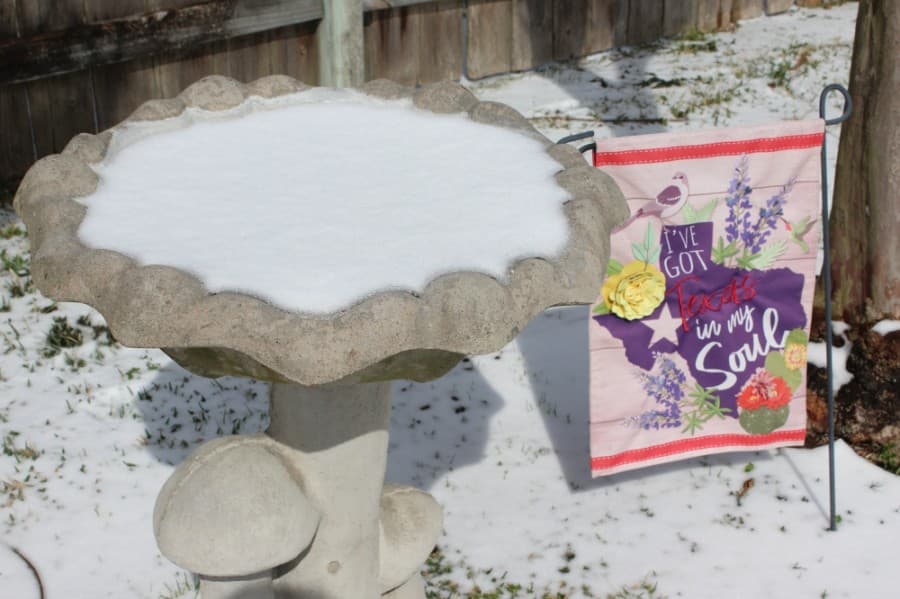 Low temperatures bring icy conditions. (Hannah Zedaker/Community Impact Newspaper)
