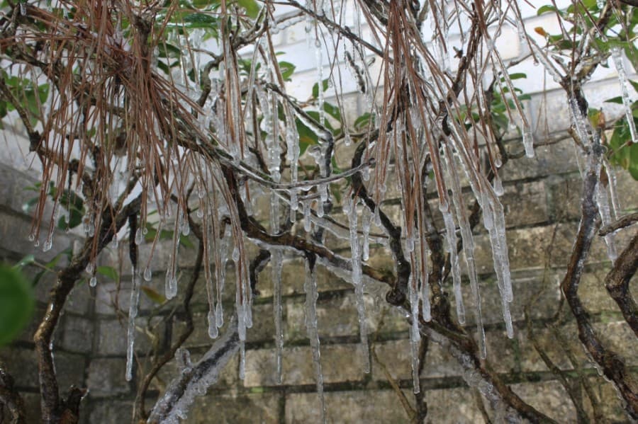 Low temperatures bring icy conditions. (Hannah Zedaker/Community Impact Newspaper)